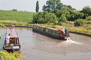 Goose, Aldermaston WharfKennet & Avon Canal