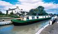 Wild Burdock, Calcutt Boats, Oxford & Midlands Canal