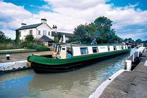 Wild Burdock, Calcutt BoatsOxford & Midlands Canal