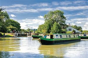 Wild Dandelion, Calcutt BoatsOxford & Midlands Canal