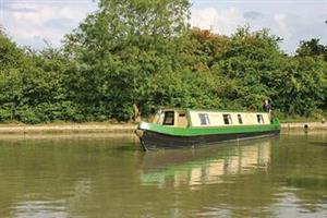 Wild Hemlock, Calcutt BoatsOxford & Midlands Canal