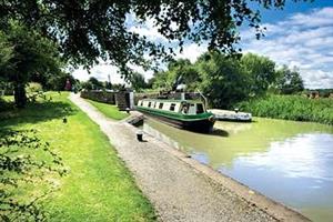 Wild Sorrel, Calcutt BoatsOxford & Midlands Canal