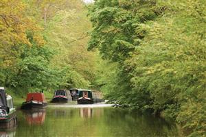 Whitchurch Plover, Whitchurch MarinaCheshire Ring & Llangollen Canal